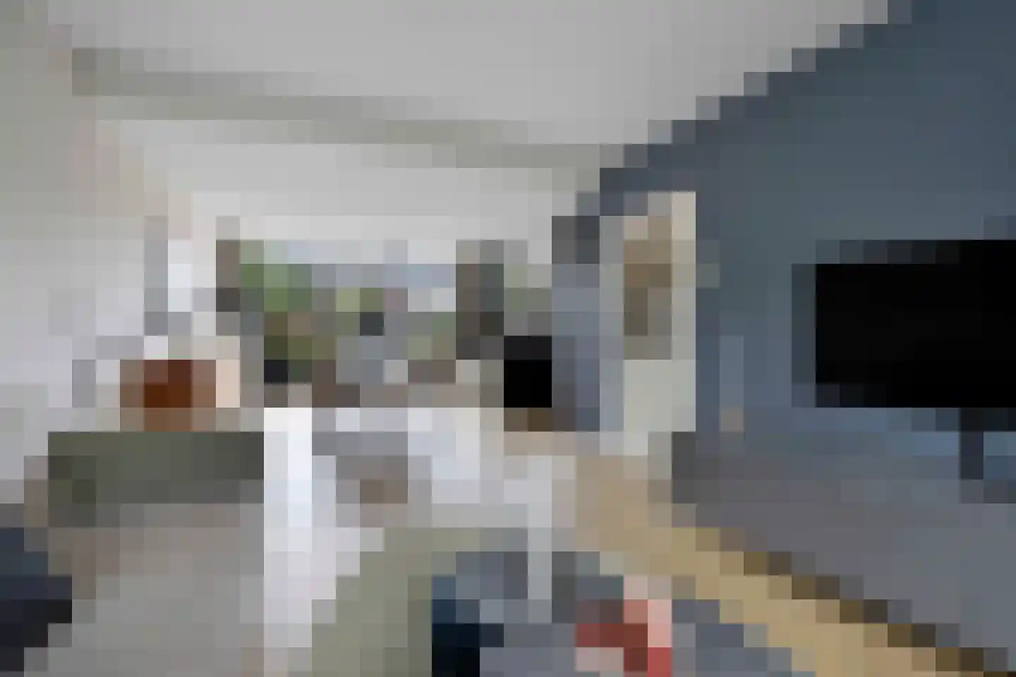 Nachtegaallaan 23 Maassluis thumbnail 9