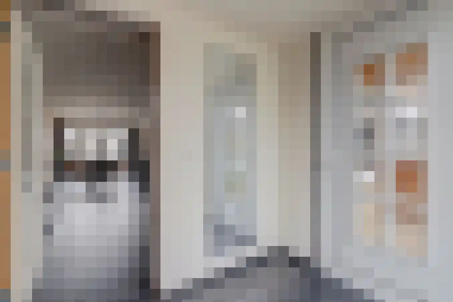 Nachtegaallaan 24 Rozenburg thumbnail 10