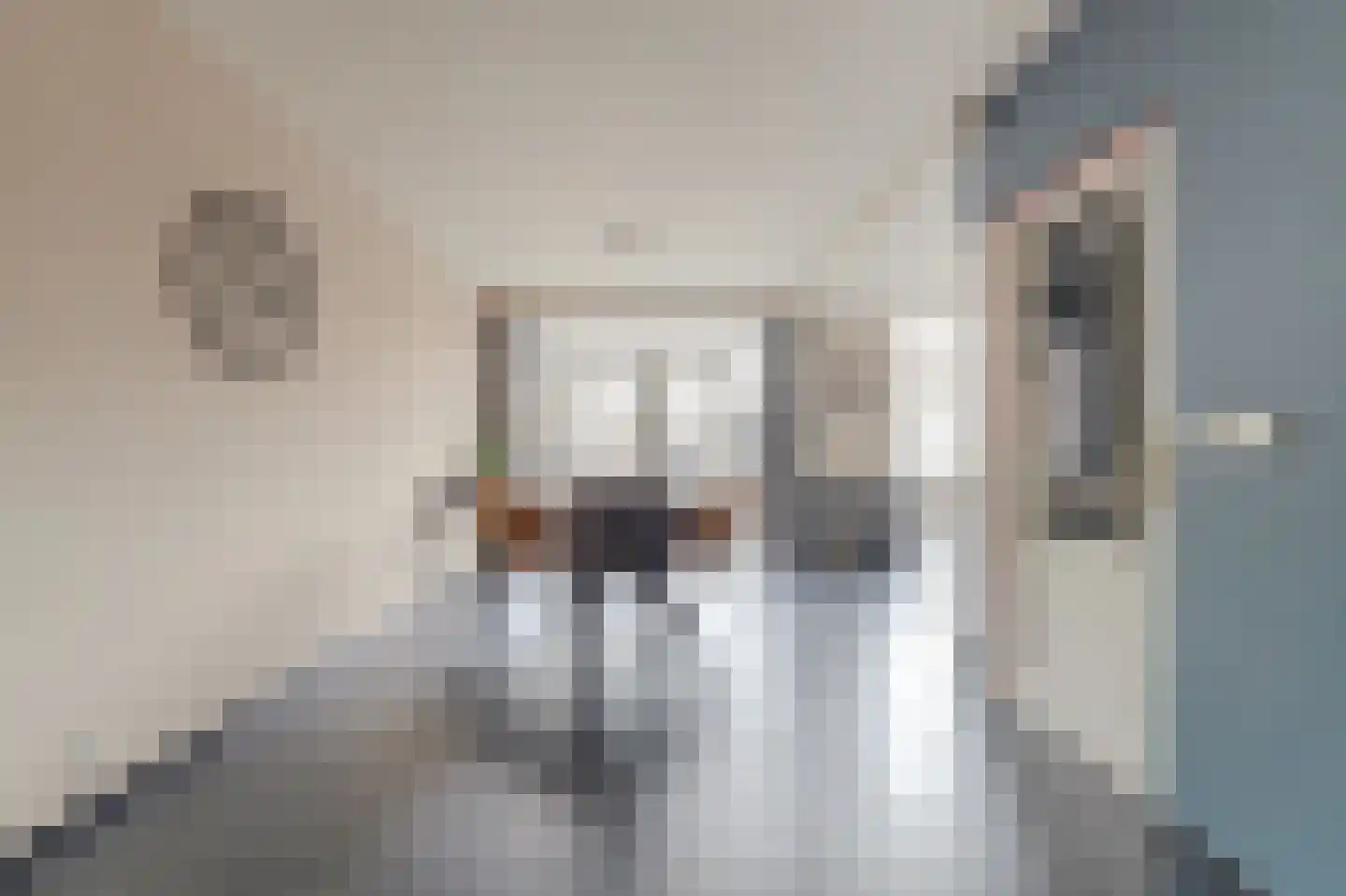 Nachtegaallaan 24 Rozenburg thumbnail 12