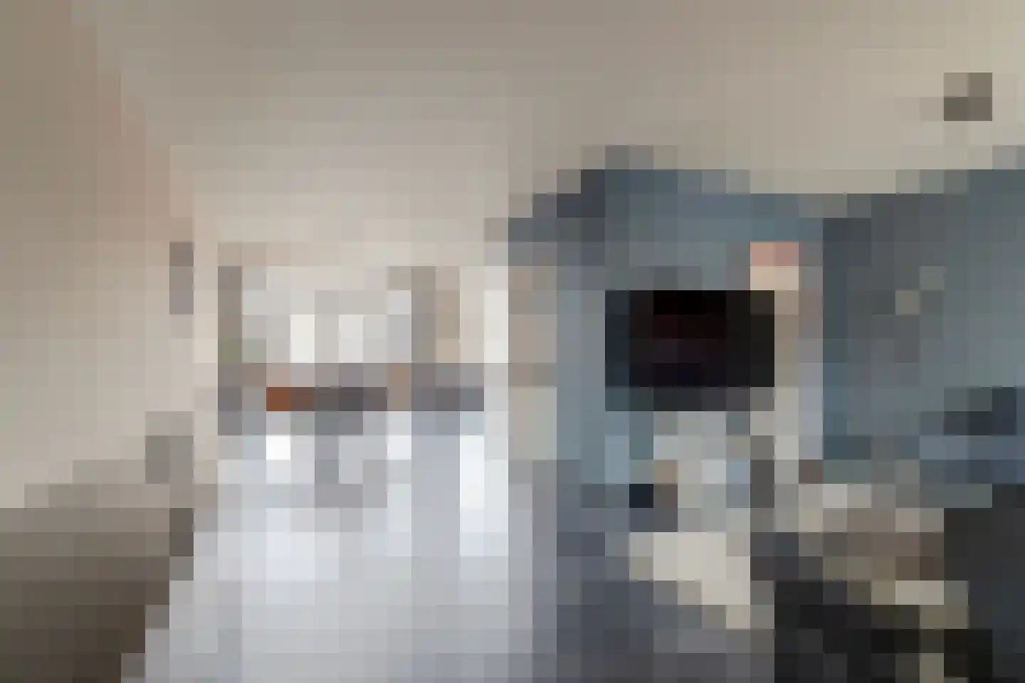 Nachtegaallaan 24 Rozenburg thumbnail 14