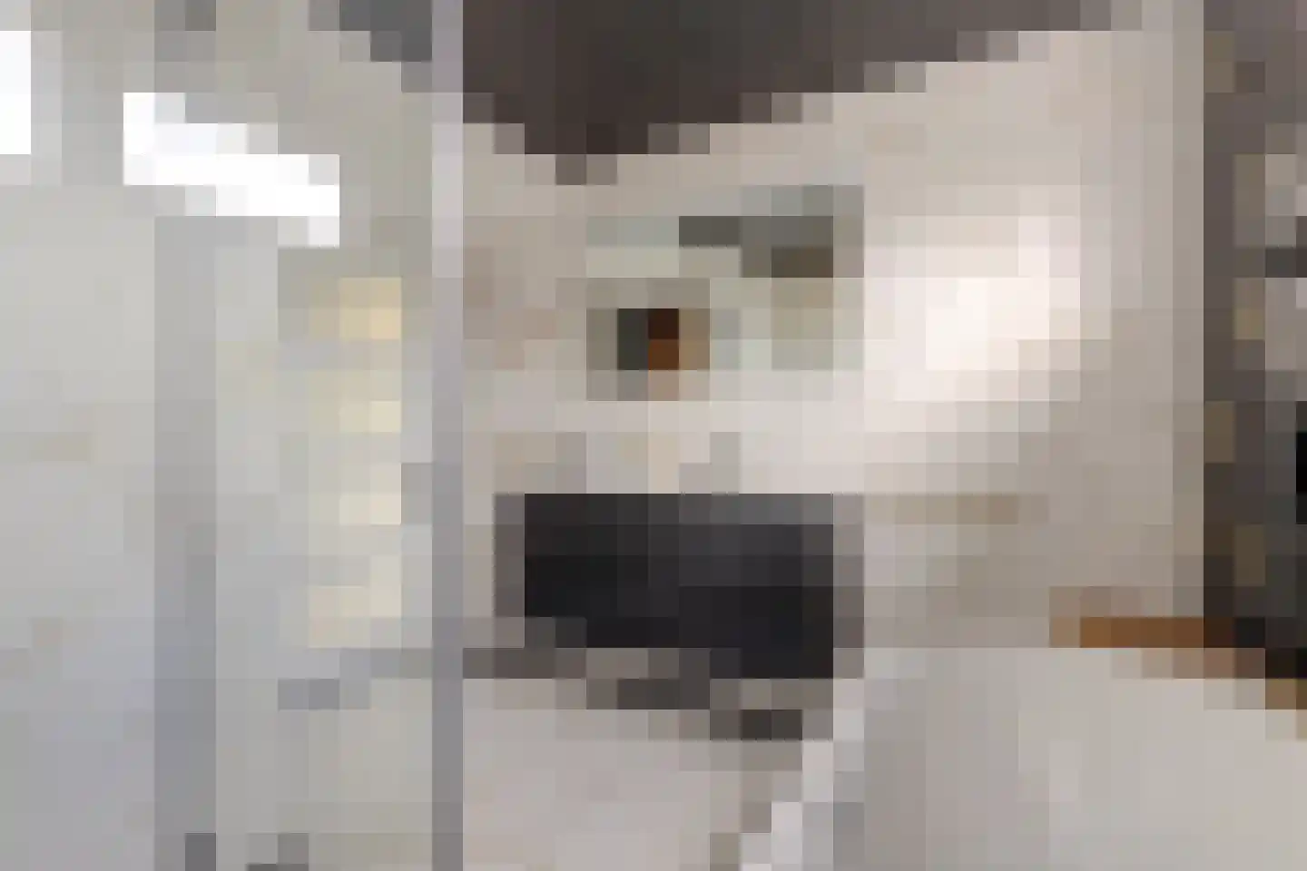 Nachtegaallaan 24 Rozenburg thumbnail 5