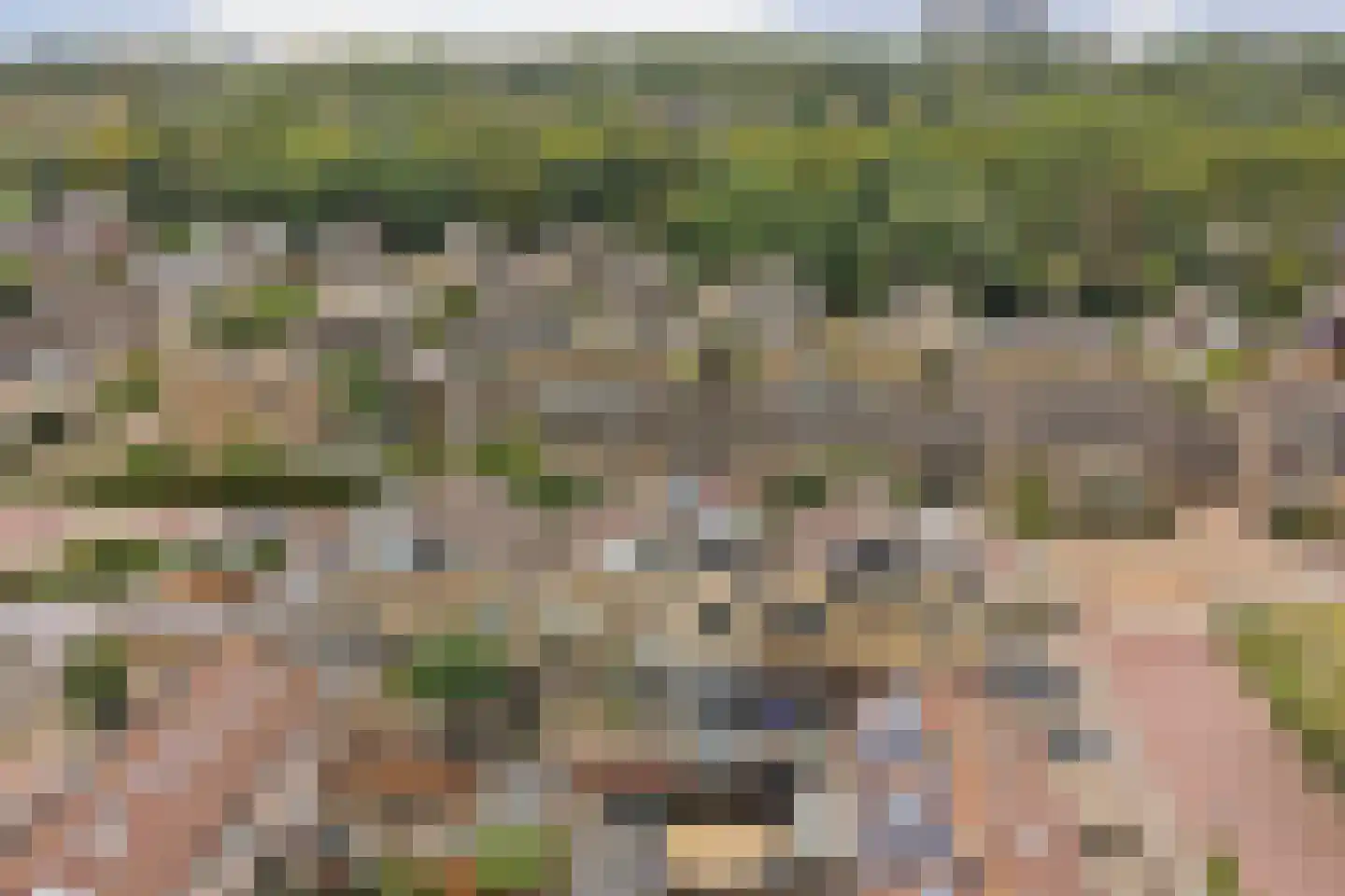 Nachtegaallaan 24 Rozenburg thumbnail 6