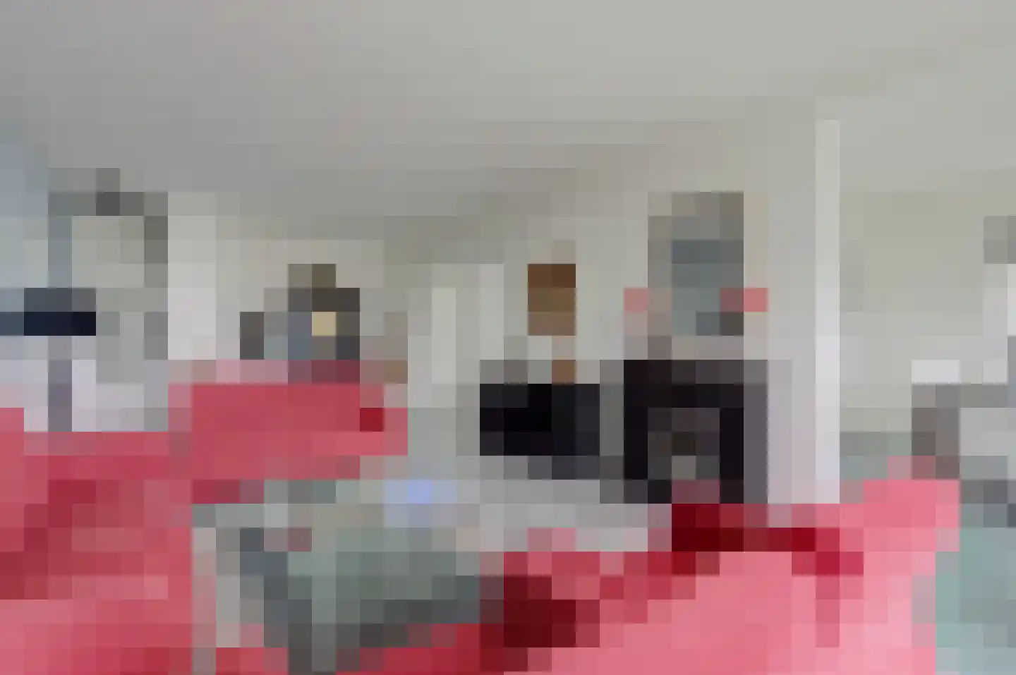 Nachtegaallaan 26 Katwijk thumbnail 13