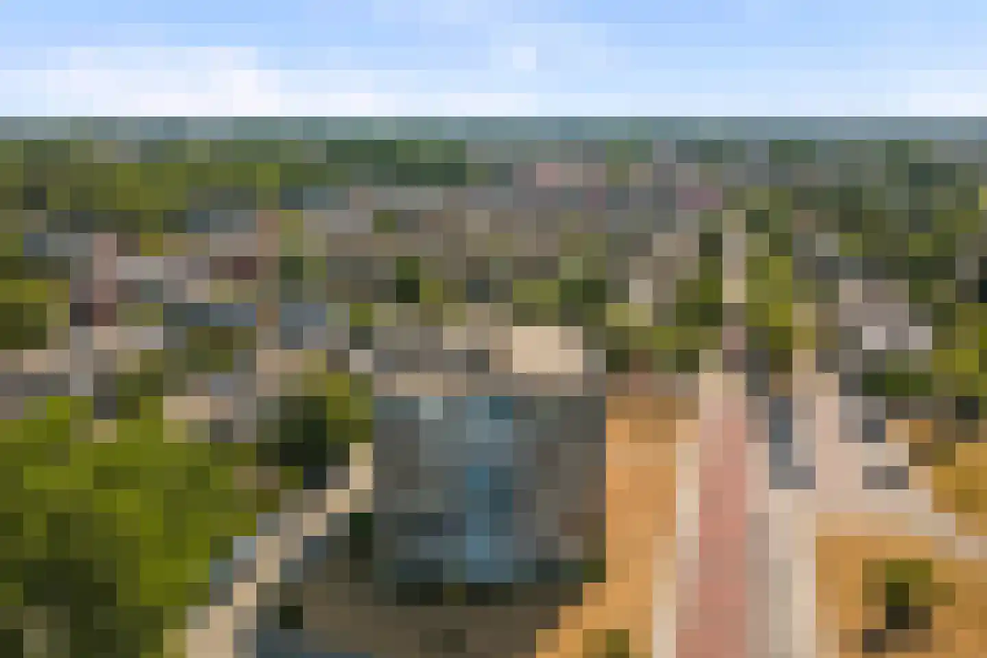 Nachtegaallaan 26 Katwijk thumbnail 35