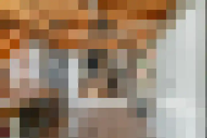 Nachtegaallaan 28 Ede thumbnail 26