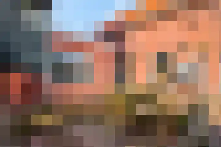 Nachtegaallaan 28 Ede thumbnail 27