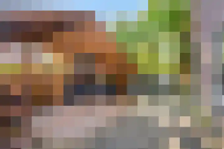 Nachtegaallaan 28 Ede thumbnail 29