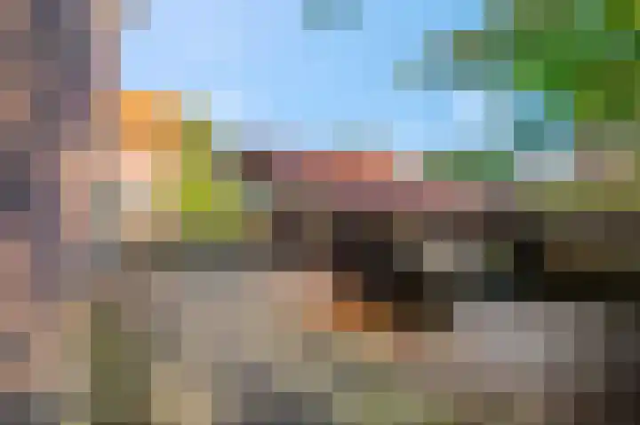 Nachtegaallaan 28 Ede thumbnail 30
