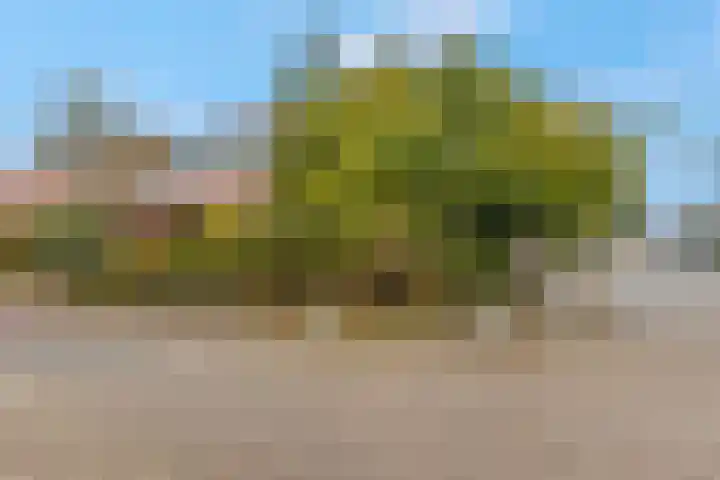 Nachtegaallaan 28 Ede thumbnail 33