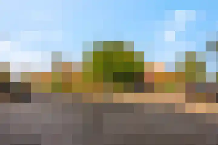 Nachtegaallaan 28 Ede thumbnail 34