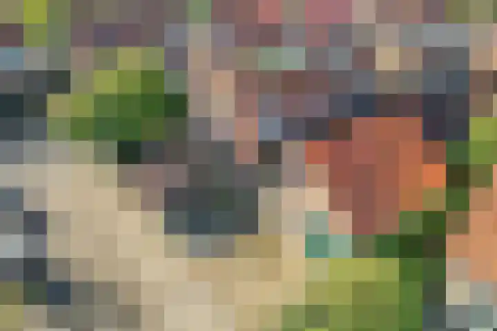 Nachtegaallaan 28 Ede thumbnail 35