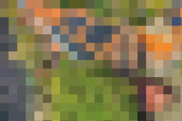 Nachtegaallaan 28 Ede thumbnail 36