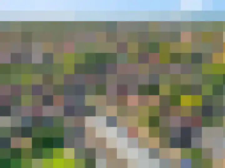 Nachtegaallaan 28 Ede thumbnail 37