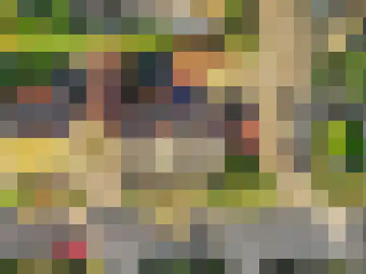 Nachtegaallaan 28 Ede thumbnail 38