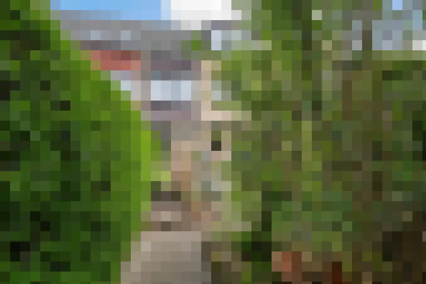 Nachtegaallaan 28 Maassluis thumbnail 13