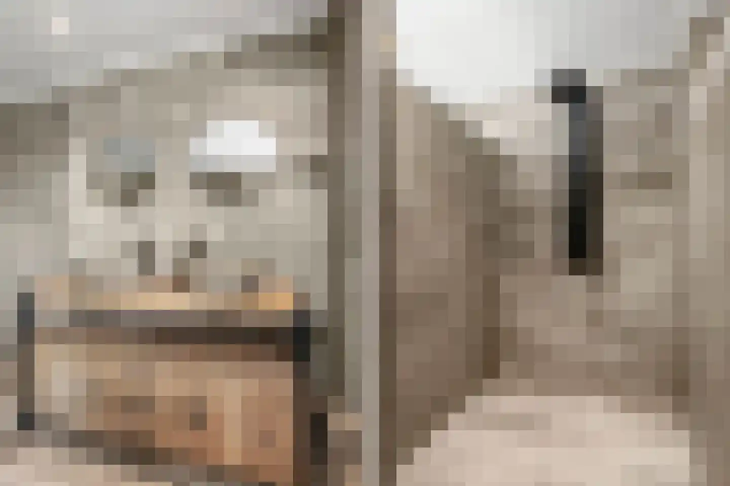 Nachtegaallaan 29 Maartensdijk thumbnail 18