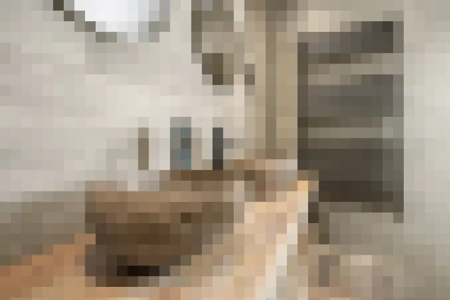 Nachtegaallaan 29 Maartensdijk thumbnail 19