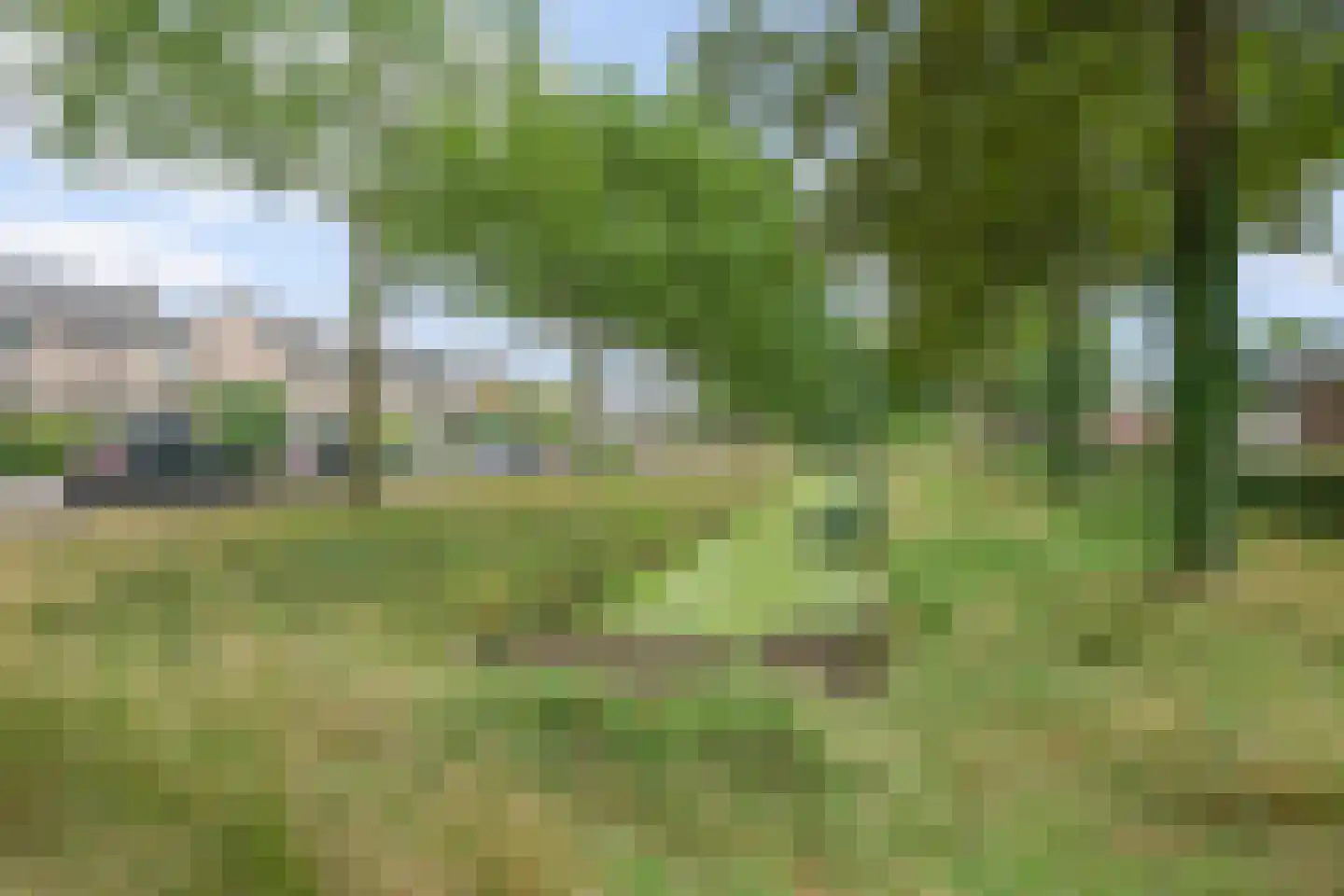Nachtegaallaan 29 Maartensdijk thumbnail 26