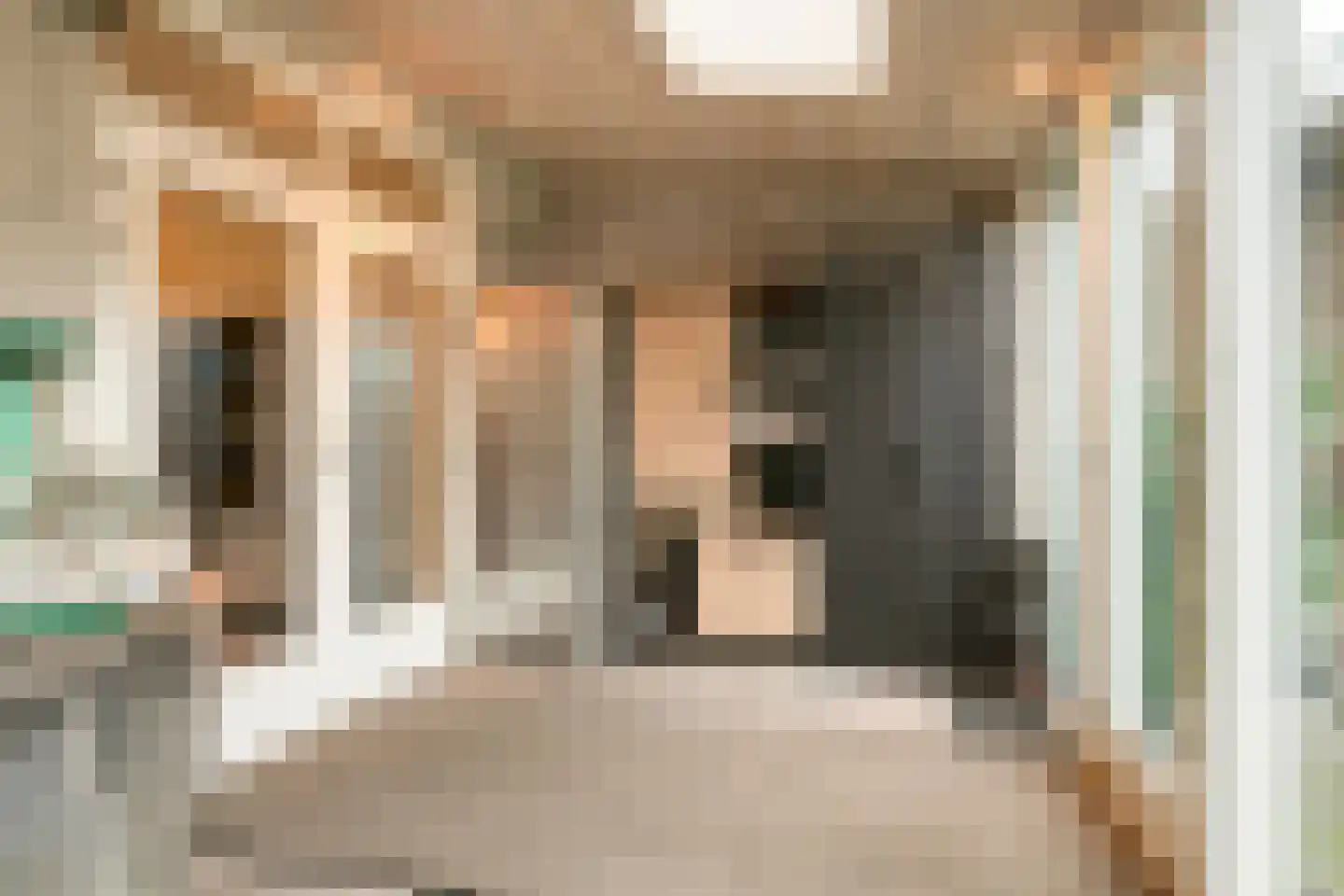 Nachtegaallaan 3 Beek en Donk thumbnail 18