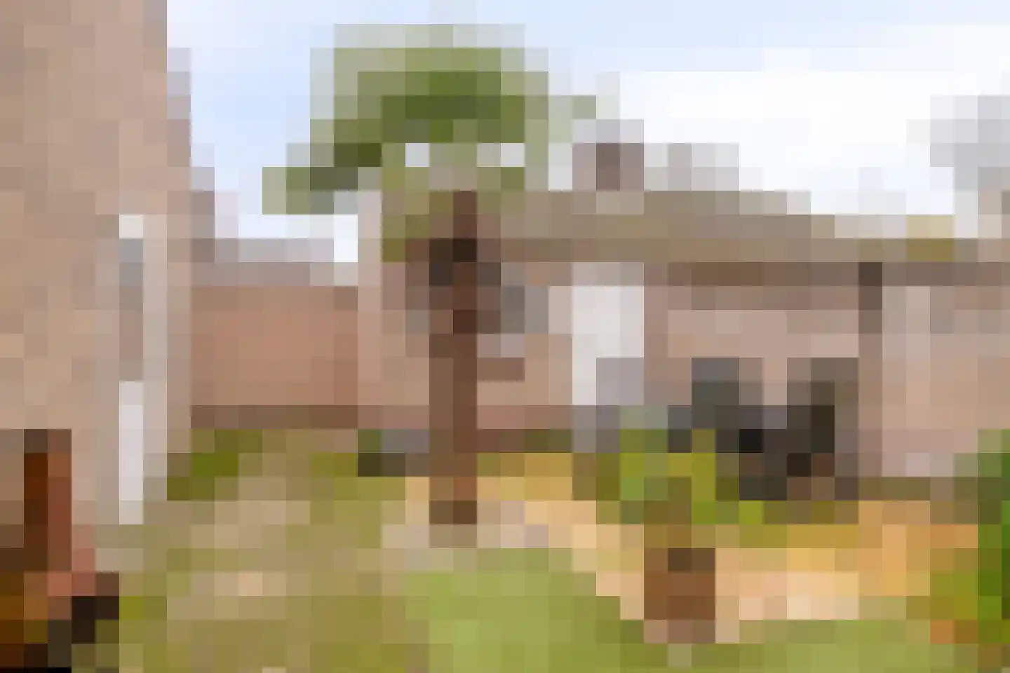 Nachtegaallaan 3 Beek en Donk thumbnail 19
