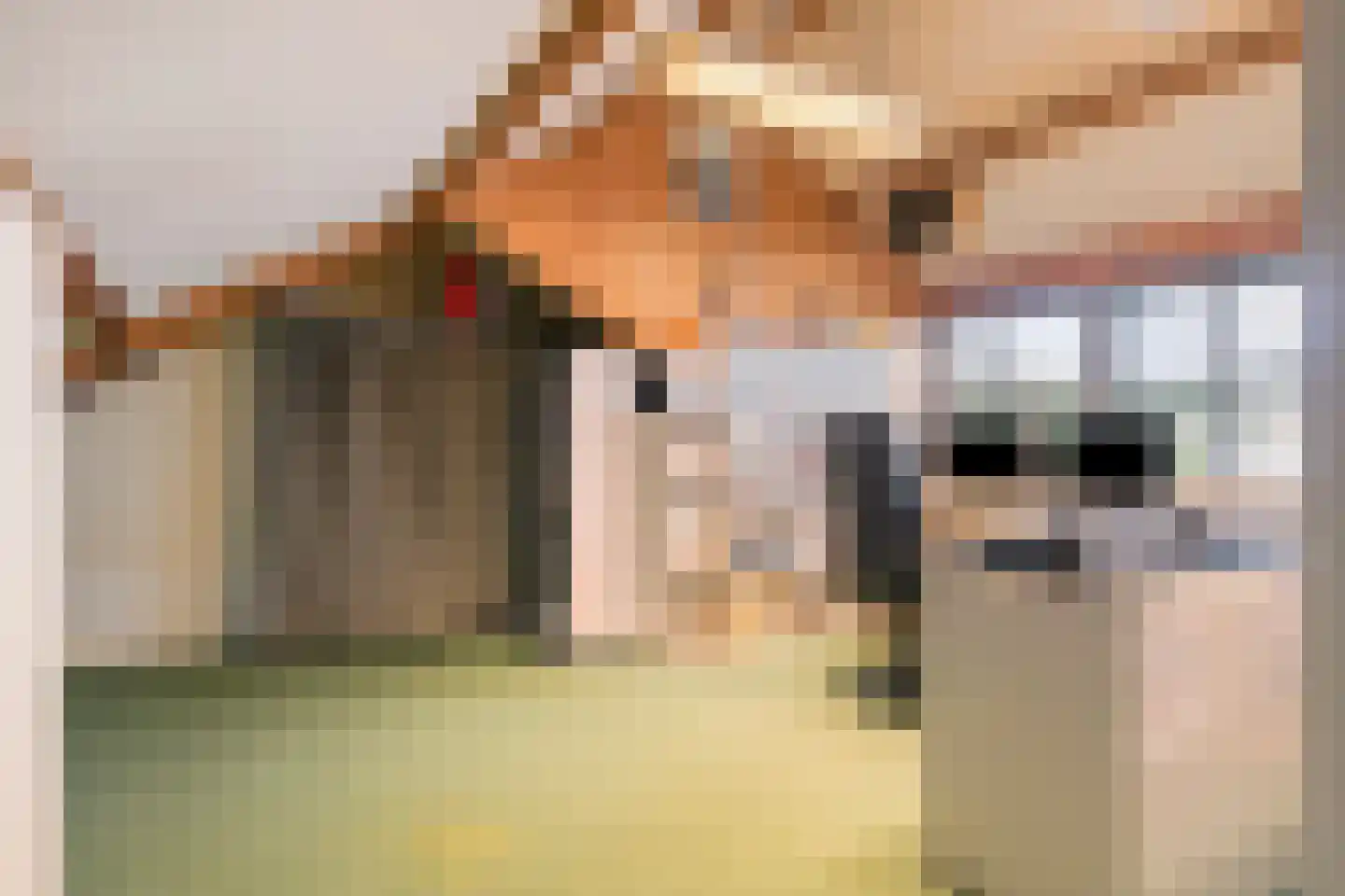 Nachtegaallaan 3 Beek en Donk thumbnail 30