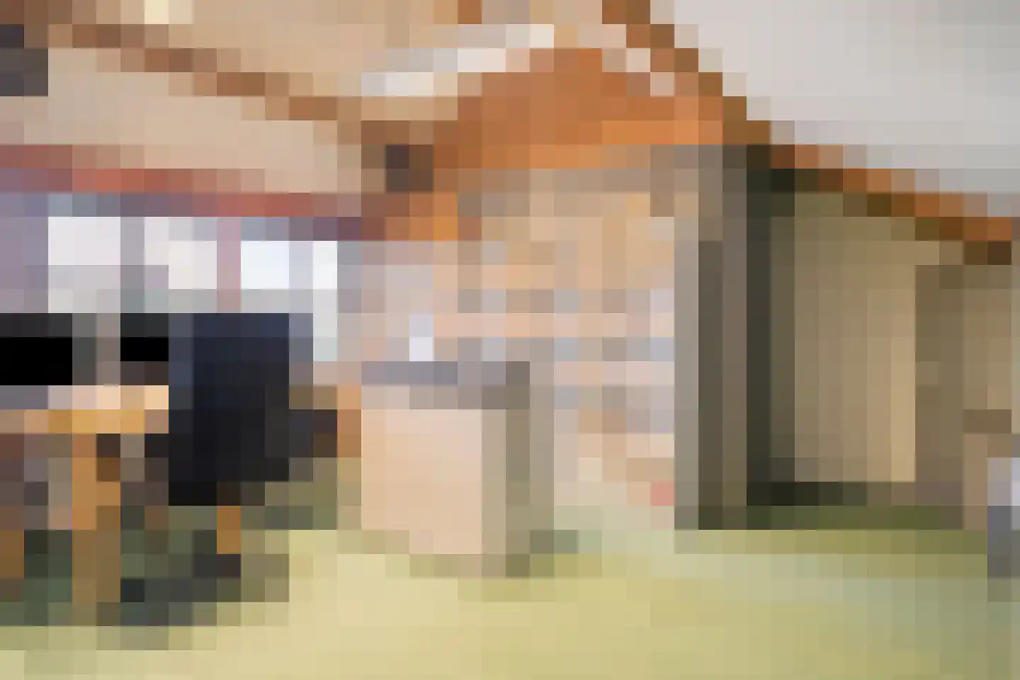 Nachtegaallaan 3 Beek en Donk thumbnail 31