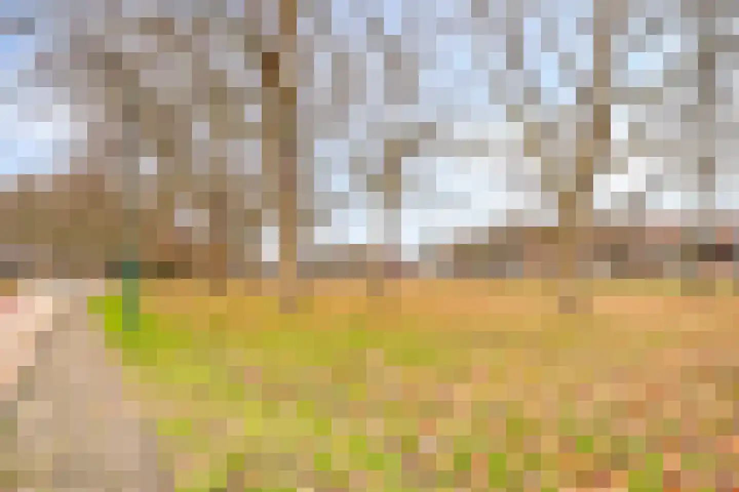 Nachtegaallaan 3 Beek en Donk thumbnail 33