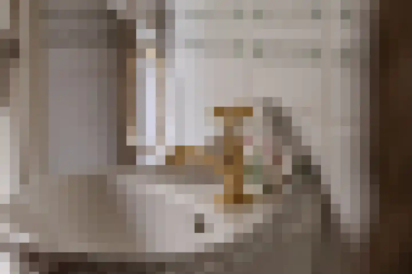 Nachtegaallaan 3 Best thumbnail 11