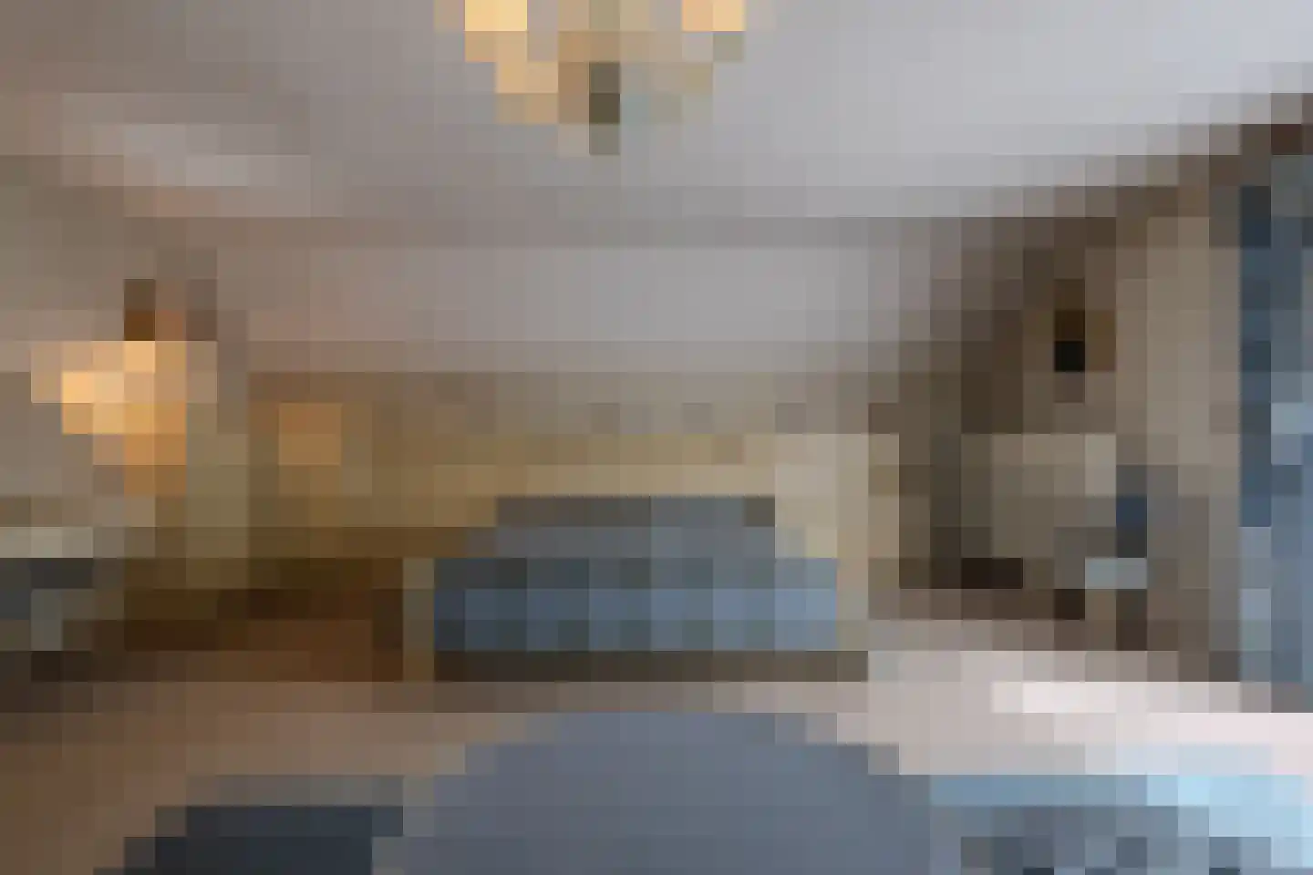 Nachtegaallaan 3 Best thumbnail 22