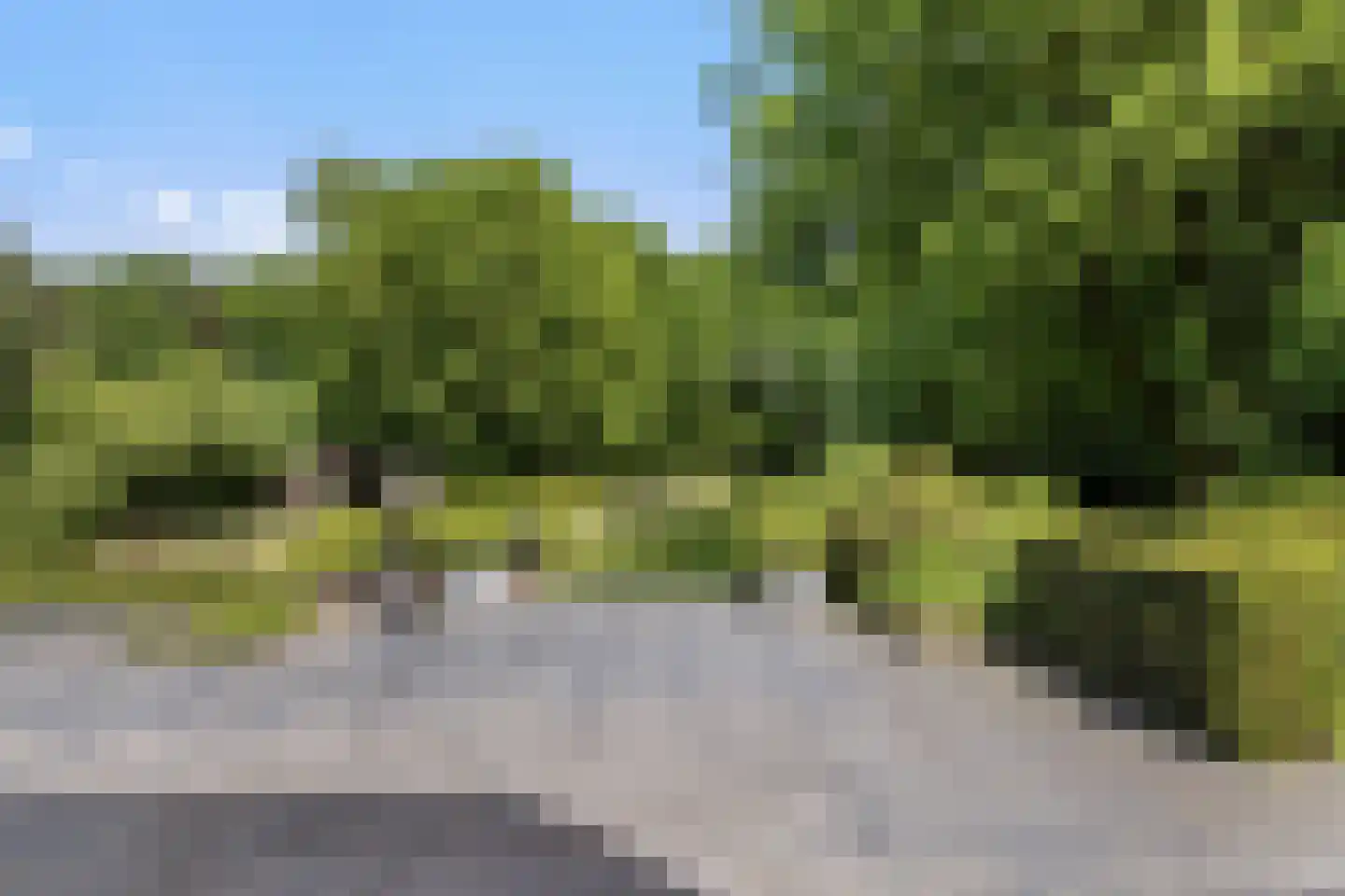 Nachtegaallaan 3 Best thumbnail 37