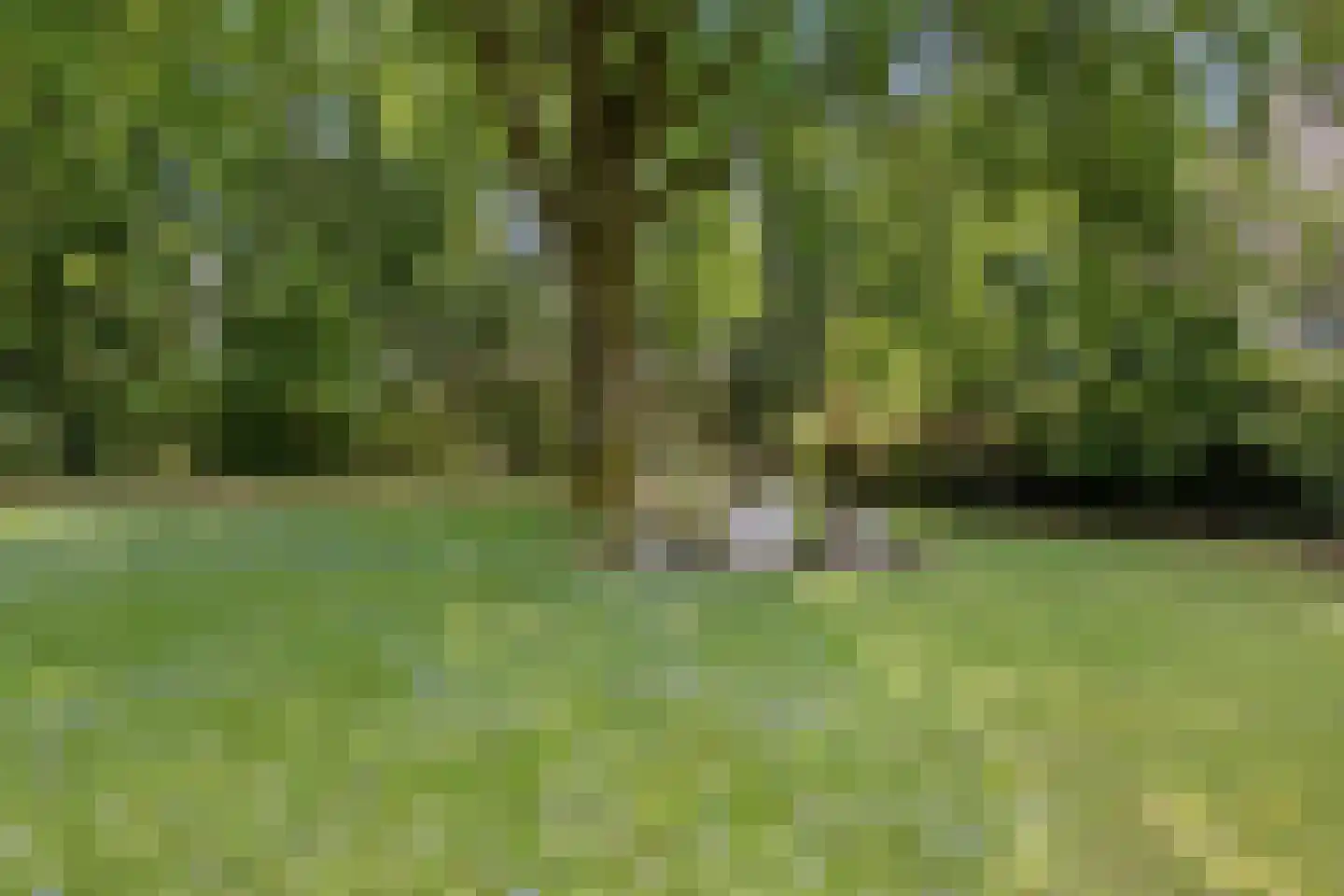 Nachtegaallaan 3 Best thumbnail 40