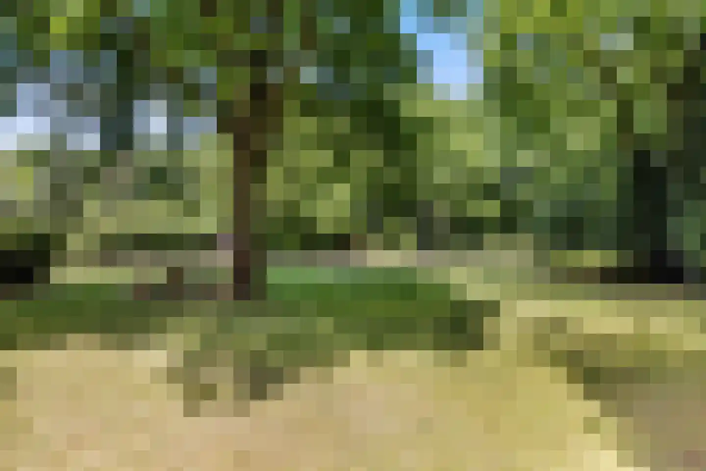 Nachtegaallaan 3 Best thumbnail 41