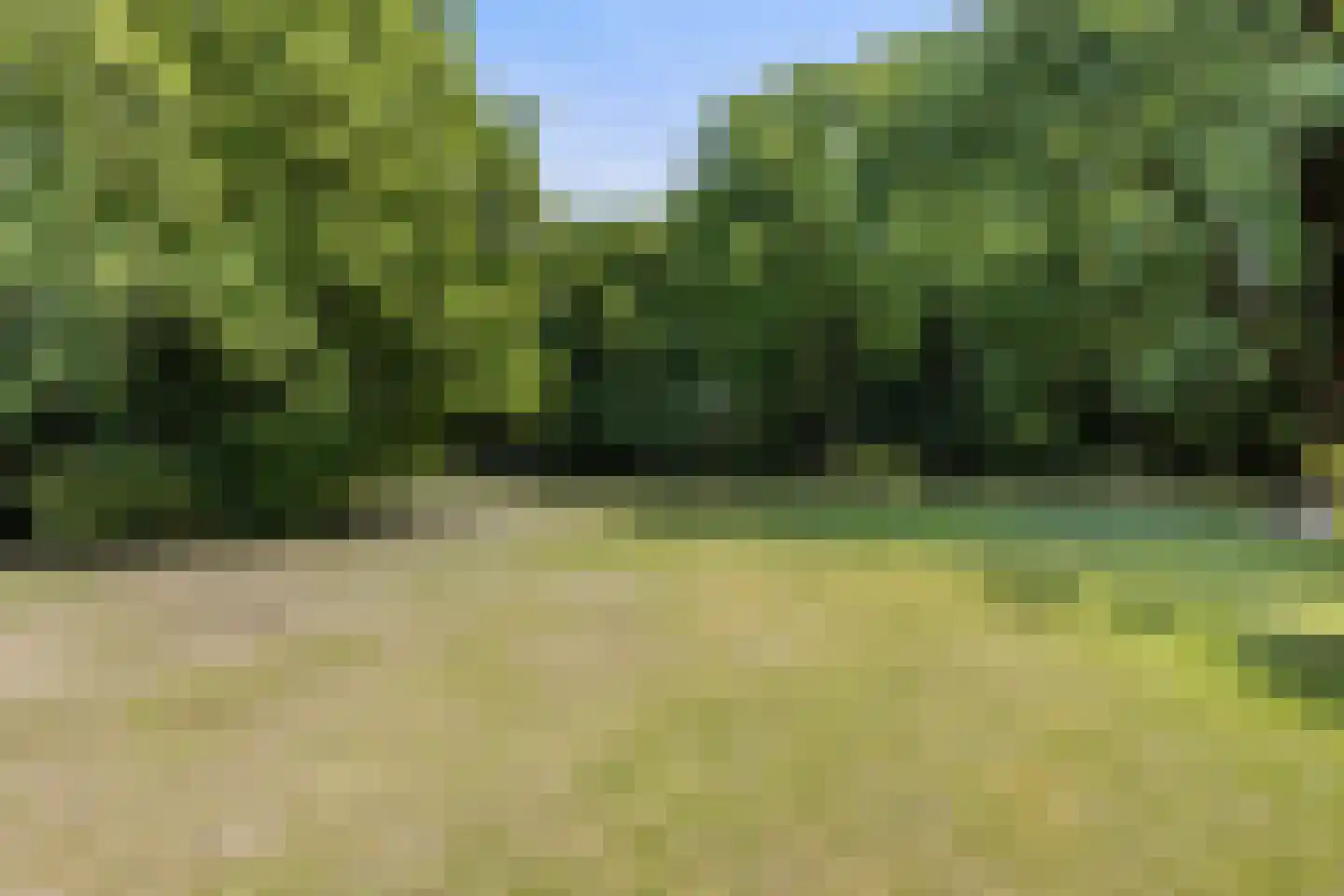 Nachtegaallaan 3 Best thumbnail 42