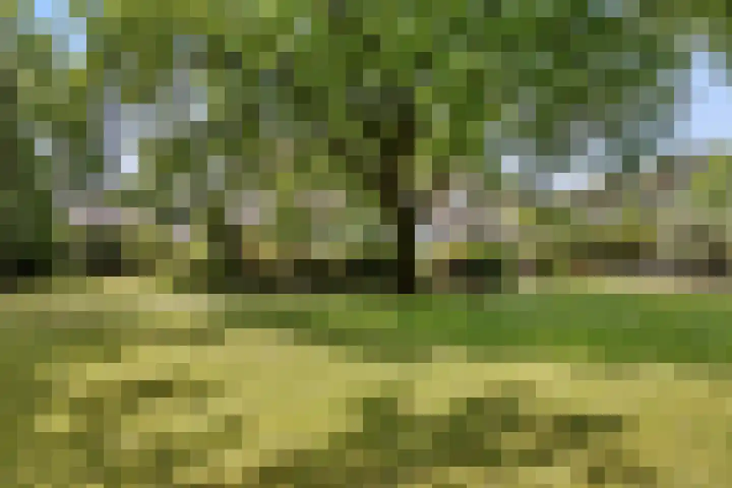 Nachtegaallaan 3 Best thumbnail 43
