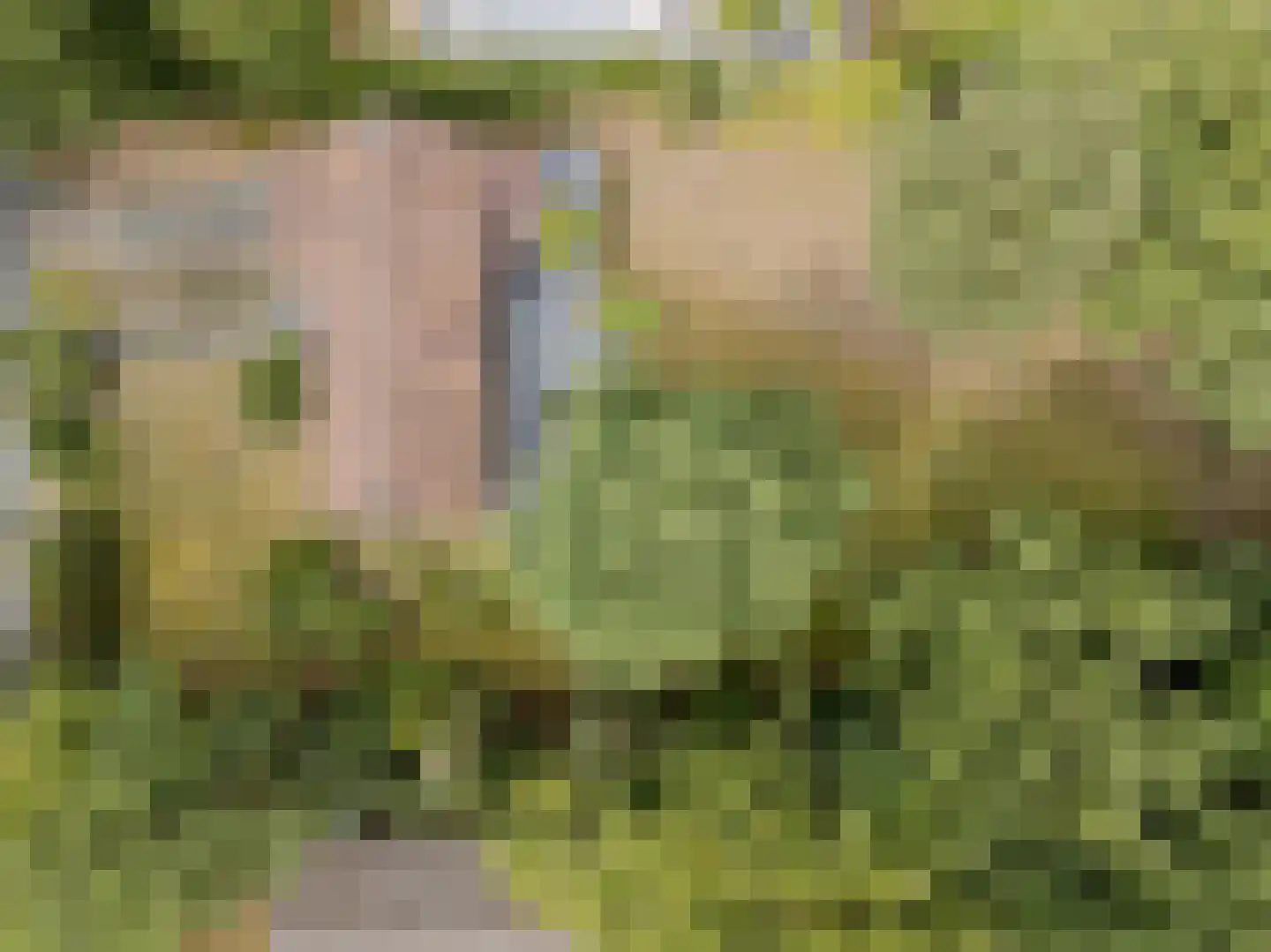 Nachtegaallaan 3 Best thumbnail 45