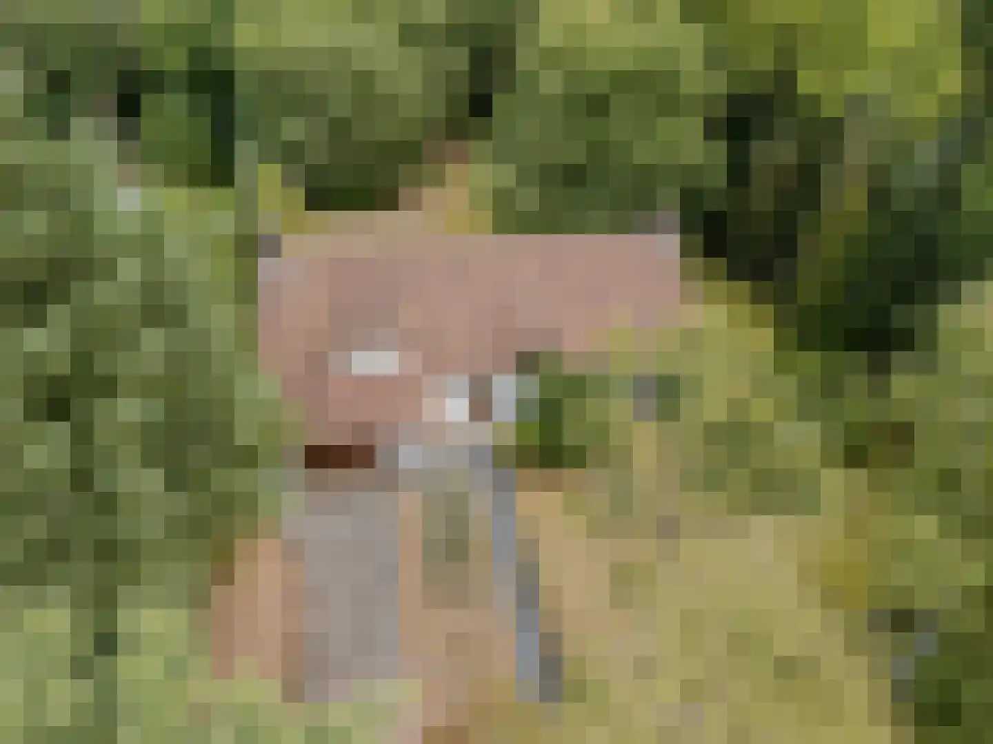 Nachtegaallaan 3 Best thumbnail 46