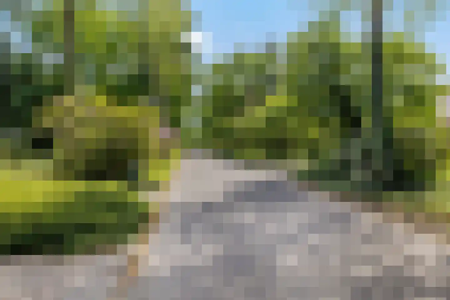 Nachtegaallaan 3 Best thumbnail 47