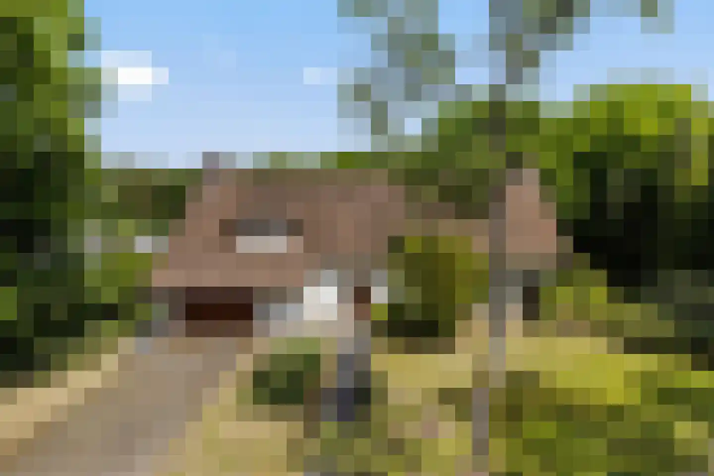 Nachtegaallaan 3 Best thumbnail 49