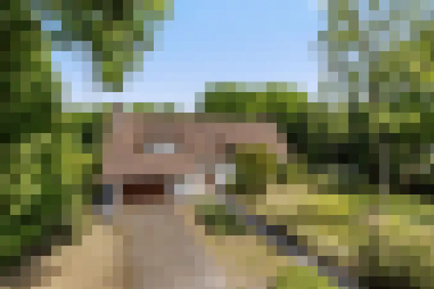 Nachtegaallaan 3 Best thumbnail 50