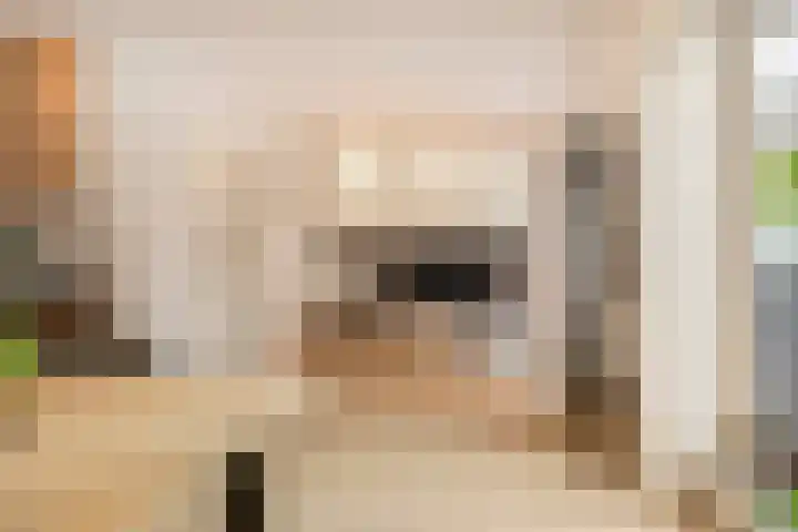 Nachtegaallaan 32 Ede thumbnail 11
