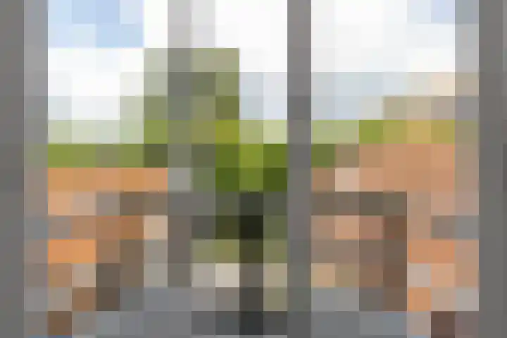 Nachtegaallaan 32 Ede thumbnail 19