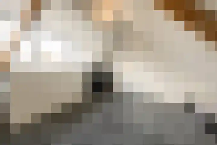 Nachtegaallaan 32 Ede thumbnail 26