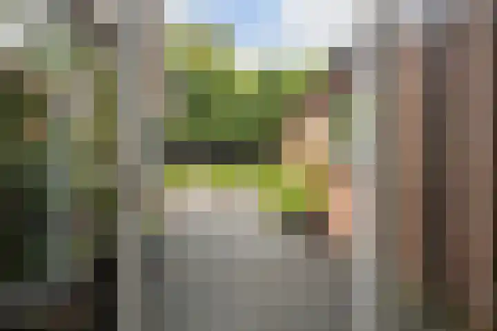 Nachtegaallaan 32 Ede thumbnail 29