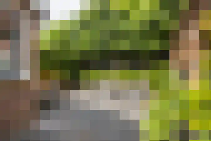 Nachtegaallaan 32 Ede thumbnail 30