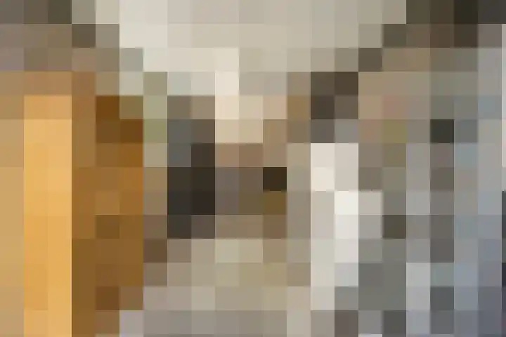 Nachtegaallaan 32 Ede thumbnail 34