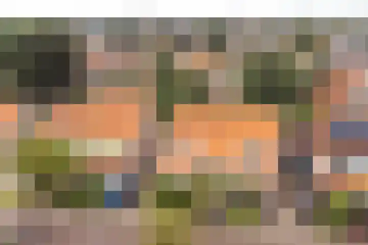 Nachtegaallaan 32 Ede thumbnail 37