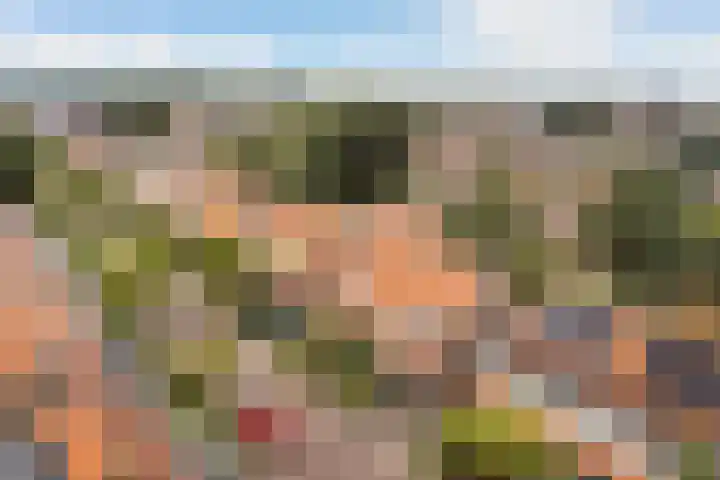 Nachtegaallaan 32 Ede thumbnail 38