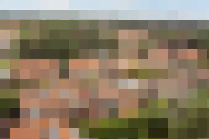 Nachtegaallaan 32 Ede thumbnail 39