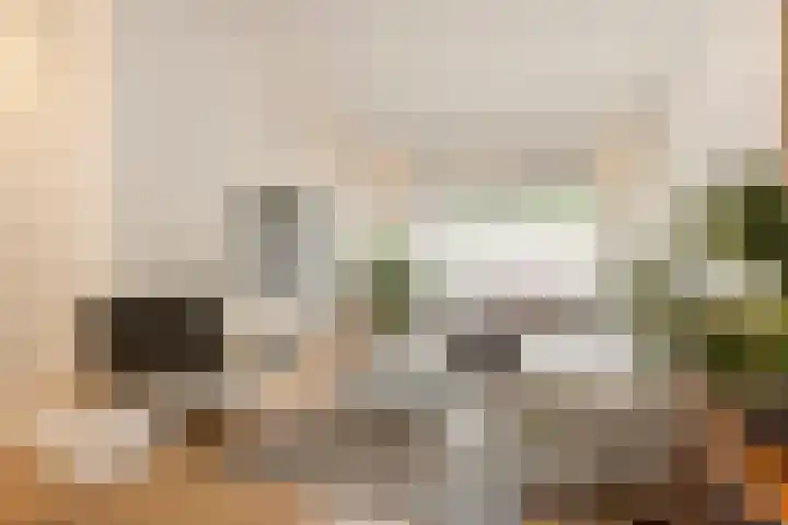 Nachtegaallaan 32 Ede thumbnail 4