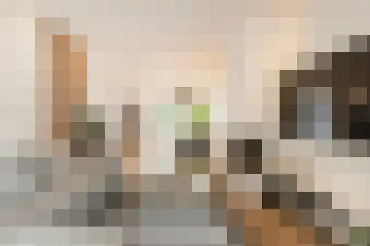 Nachtegaallaan 32 Ede thumbnail 6